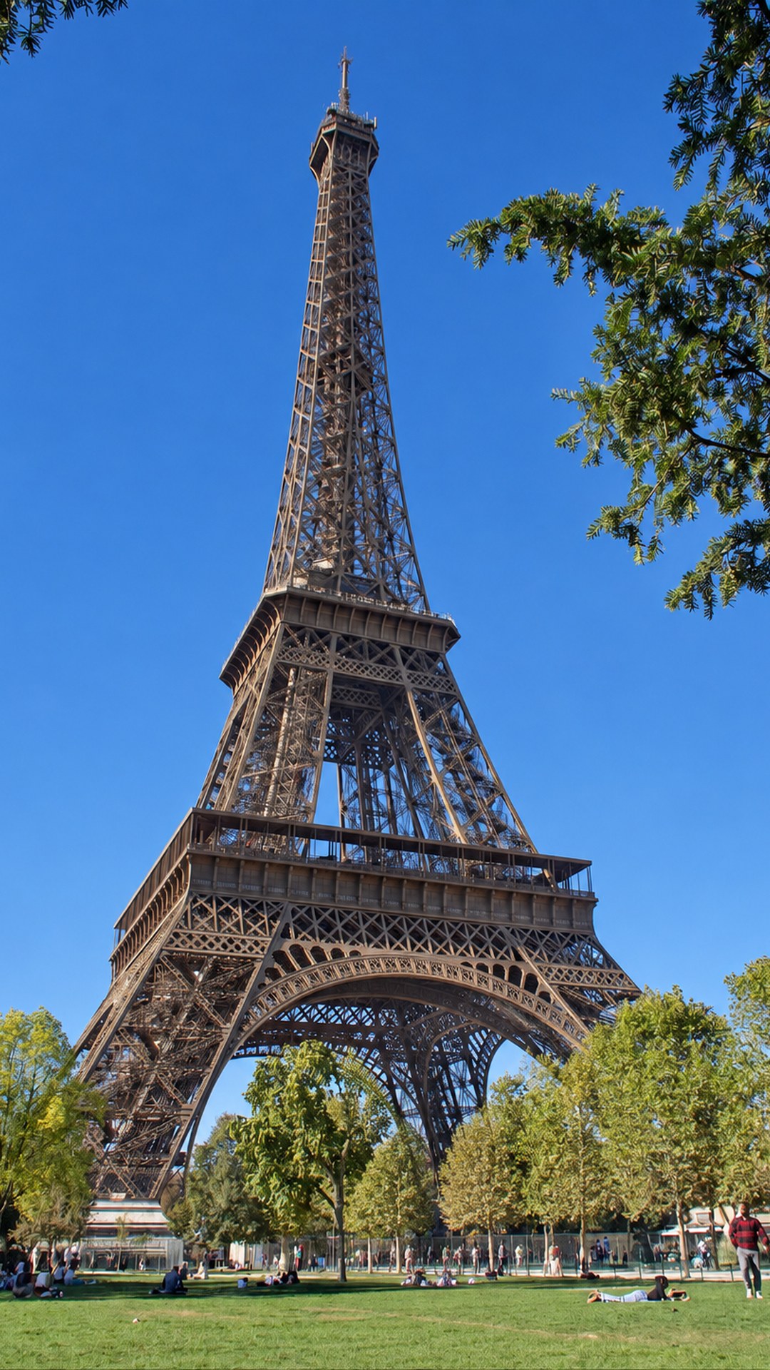 The Eiffel Tower viewed from a green lawn, framed by leafy branches beneath a blue sky